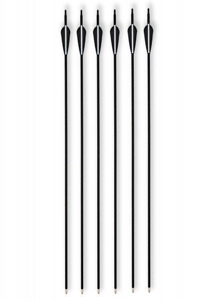 Carbon-Hybrid-Pfeile Set 6 tlg. Metallspitze